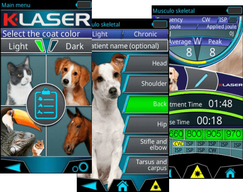 K-Laser-VET-Interface500-min